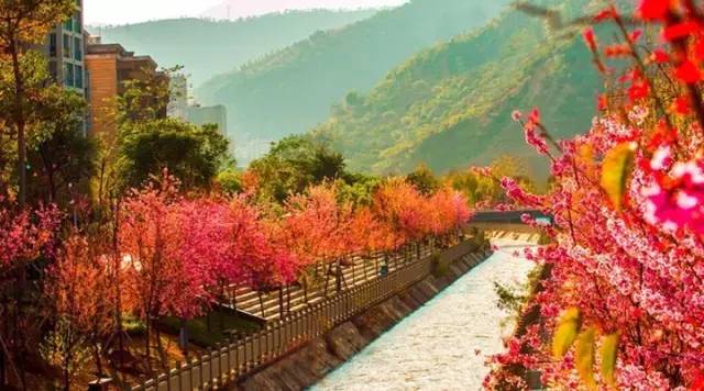 8月四川自驾游3日游最佳路线推荐,四川遂宁到贵州自驾游最佳路线