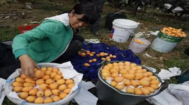 8月四川自驾游3日游最佳路线推荐,四川遂宁到贵州自驾游最佳路线