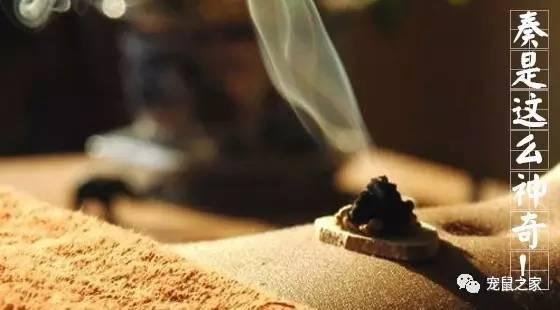 缇庨澶╀笅鍏荤敓澶у笀,缇庨澶╀笅棣欑尓