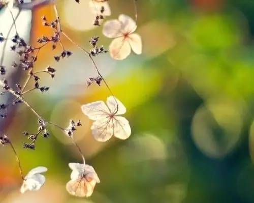 微商早安励志朋友圈高质量句子,微商早安励志语录正能量句子