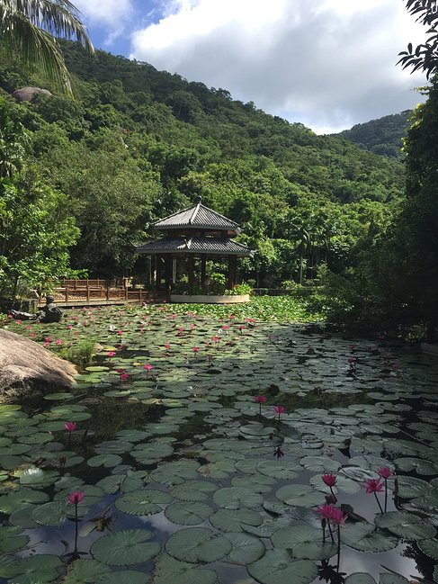 一家三口去三亚,一家三口三亚旅游图片