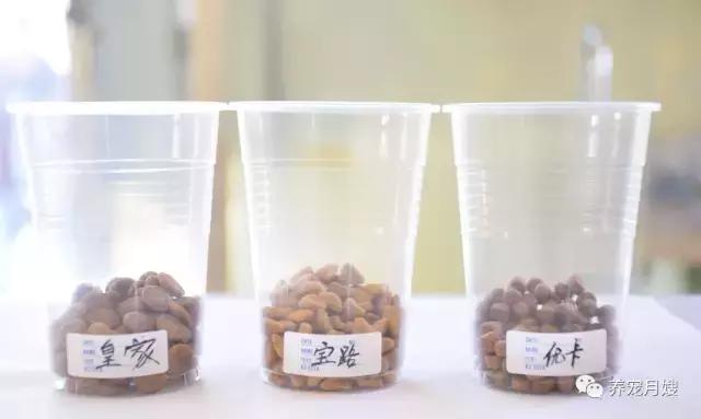 狗粮综合测评分析,狗粮怎么选多款狗粮测评来袭