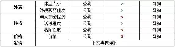 一梦谈狗：养一只公狗和养一只母狗的差距这么大你投票给谁？