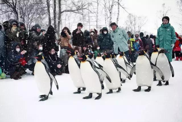 第一次到日本走什么通道,去北海道怎么走最合适