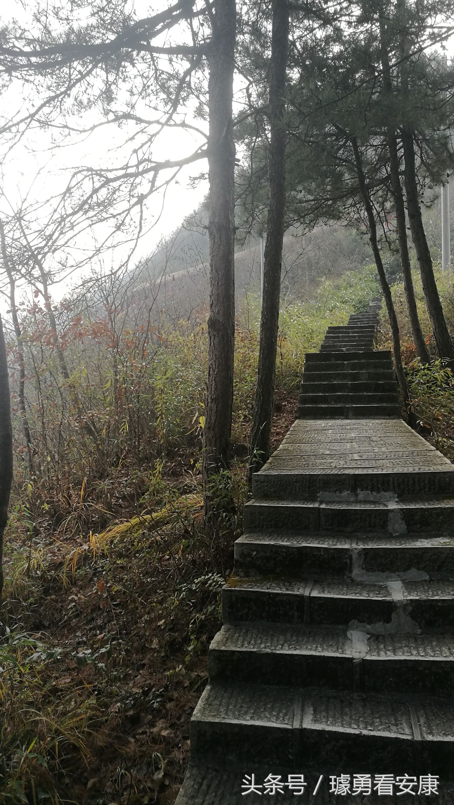 这里是中国慢城,一个让人能够宁静的城市这里环境美人情更美