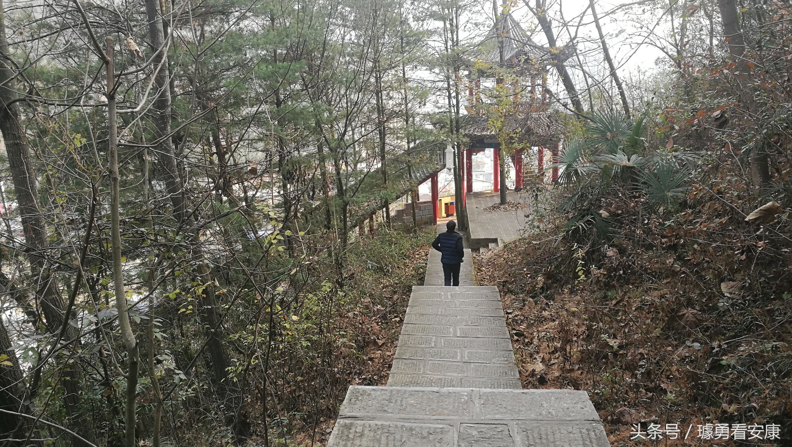 这里是中国慢城,一个让人能够宁静的城市这里环境美人情更美