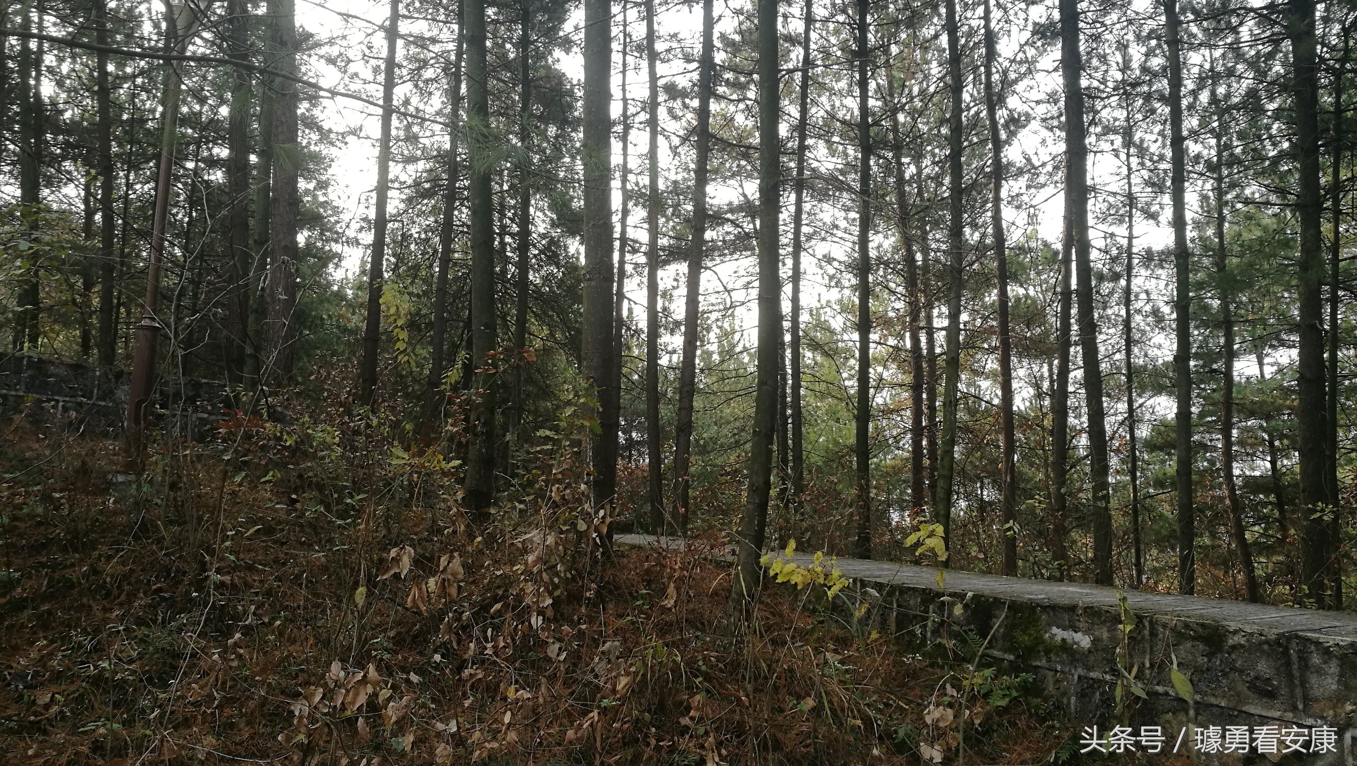 这里是中国慢城,一个让人能够宁静的城市这里环境美人情更美