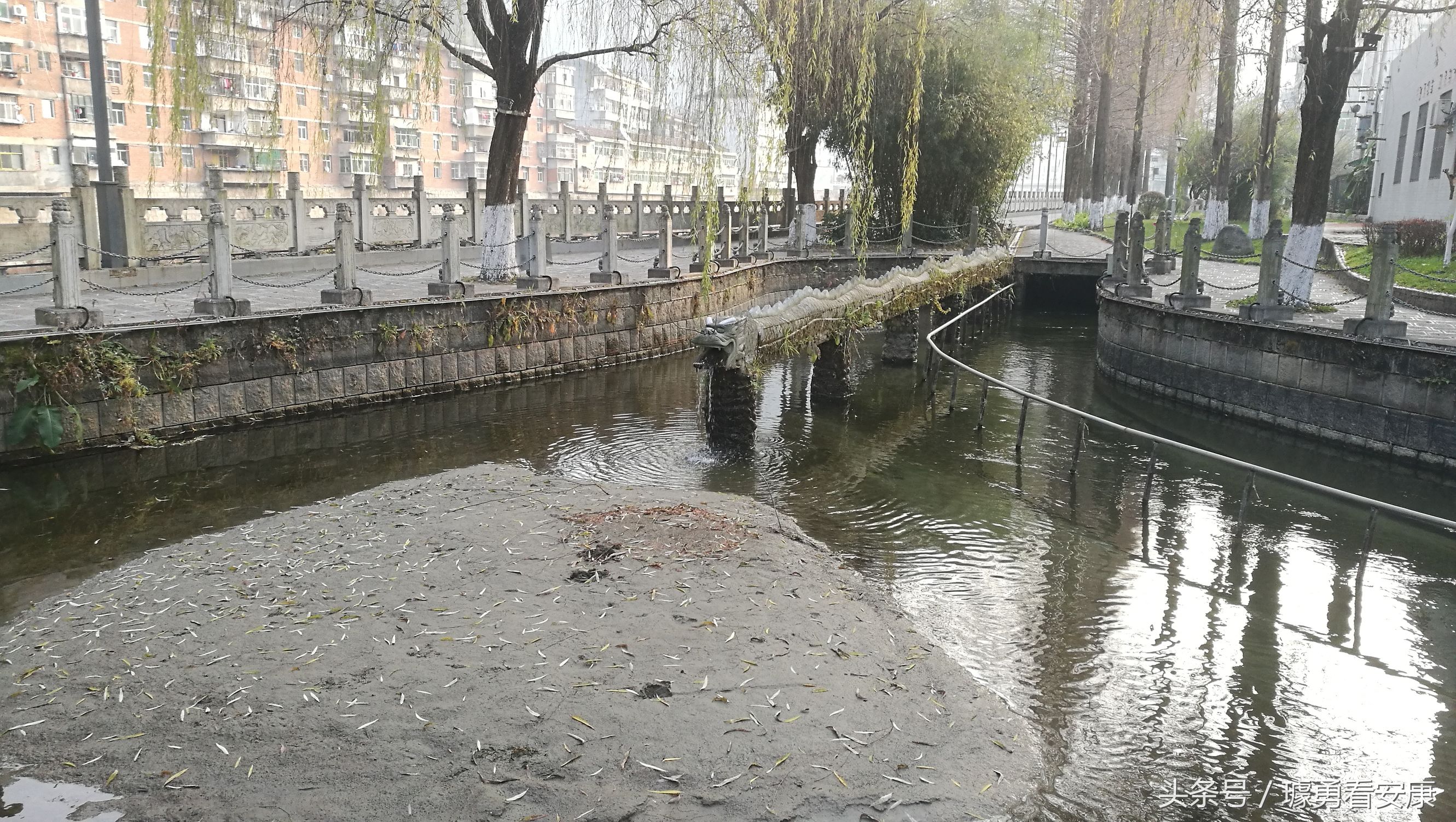 这里是中国慢城,一个让人能够宁静的城市这里环境美人情更美