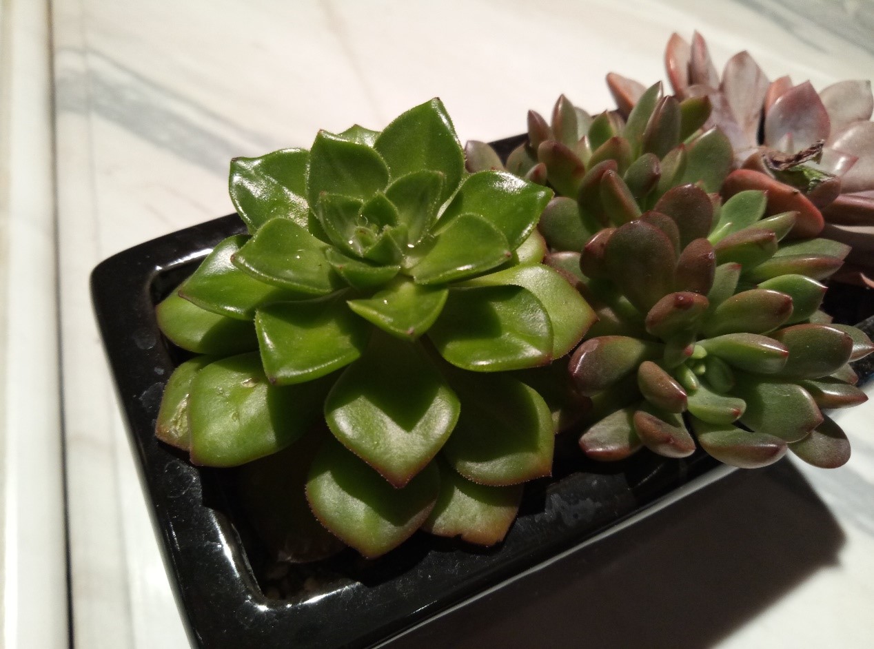 魅蓝5的续航表现,魅族note5续航