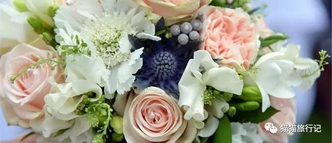 恐婚症治愈,婚恐症治愈