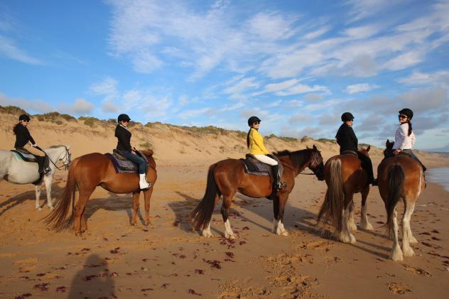 这是一个关于一群华人富婆，到澳洲买苦吃的故事