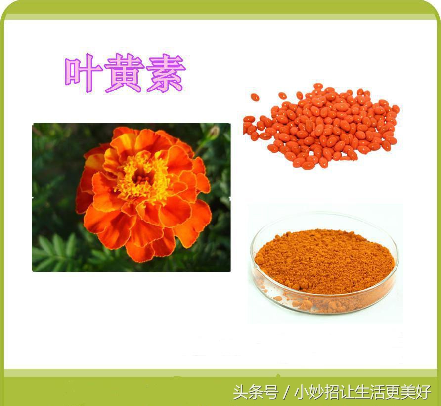 长期看手机吃什么食物保护眼睛,长时间看手机电脑怎么保护眼睛