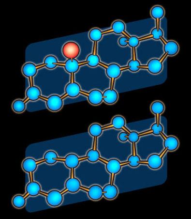 通过手指长度看性格,怎么看睾酮指标