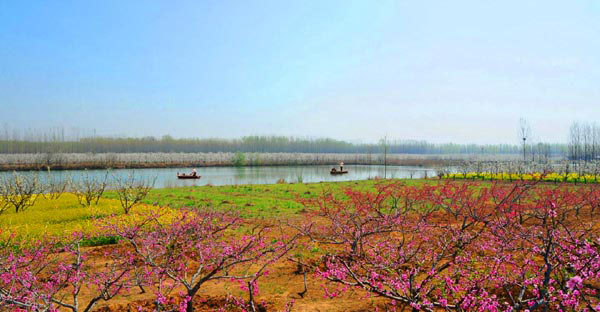 泗洪和盱眙以前是安徽的吗,安徽泗洪盱眙与徐州砀山萧县