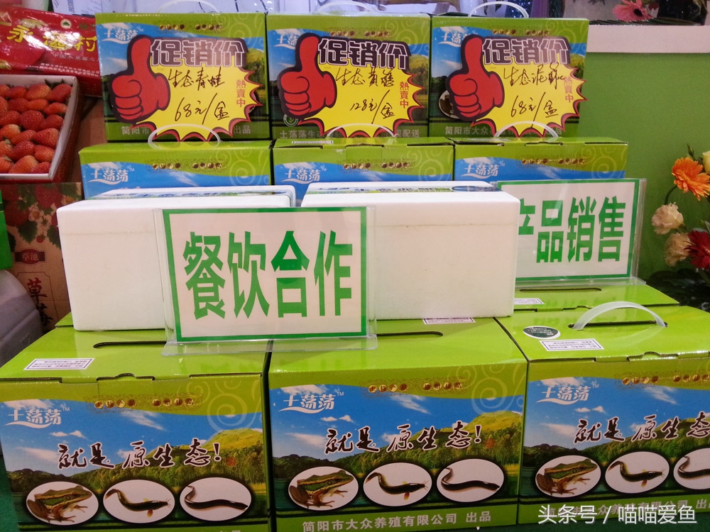 泥鳅养殖技术与利润,泥鳅养殖利润高但风险也大怎么办