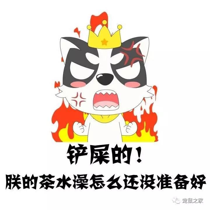 缇庨澶╀笅鍏荤敓澶у笀,缇庨澶╀笅棣欑尓