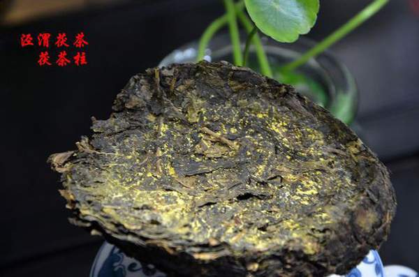 安化茯砖为啥有的金花少呢,黑茶金花茯砖里的黄点是霉点吗