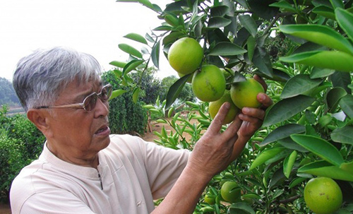 褚时健大器晚成,褚时健慢点富