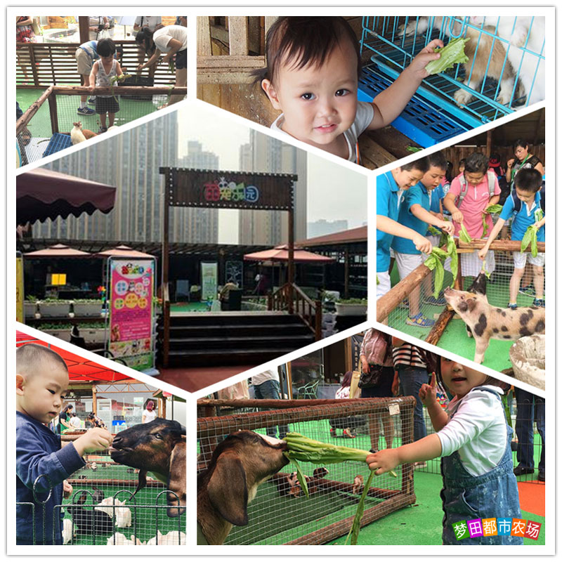 公司年会适合去的地方,公司年会去哪好