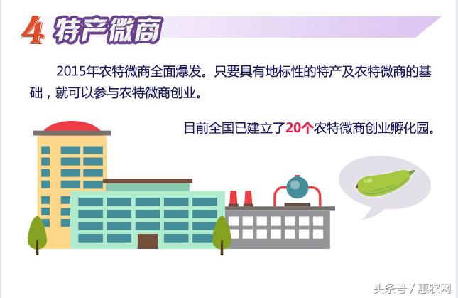 返乡创业直播致富经验分享 (乡村创业怎么赚钱的)