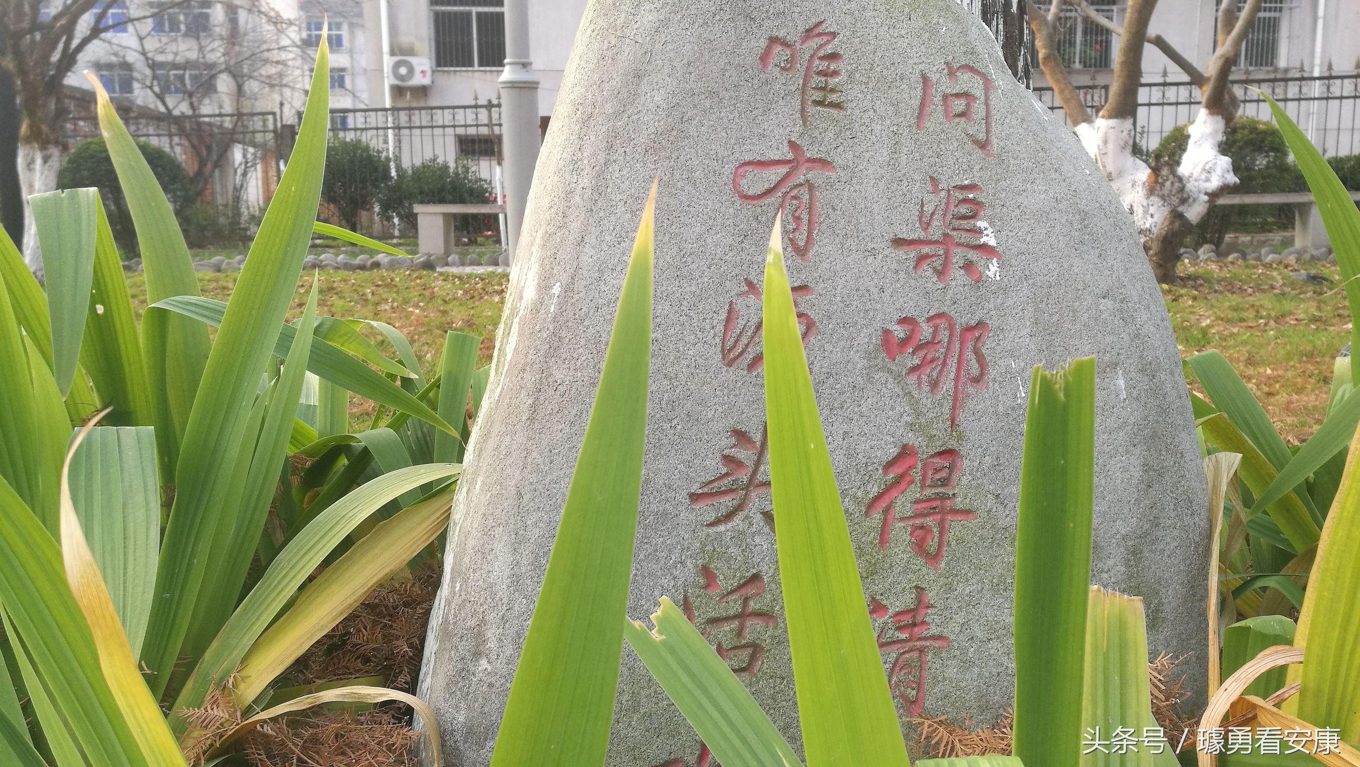 这里是中国慢城,一个让人能够宁静的城市这里环境美人情更美