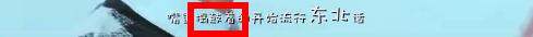 科普一下你不知道的，全世界都在说的东北话