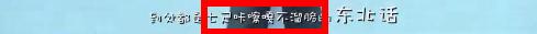 科普一下你不知道的，全世界都在说的东北话