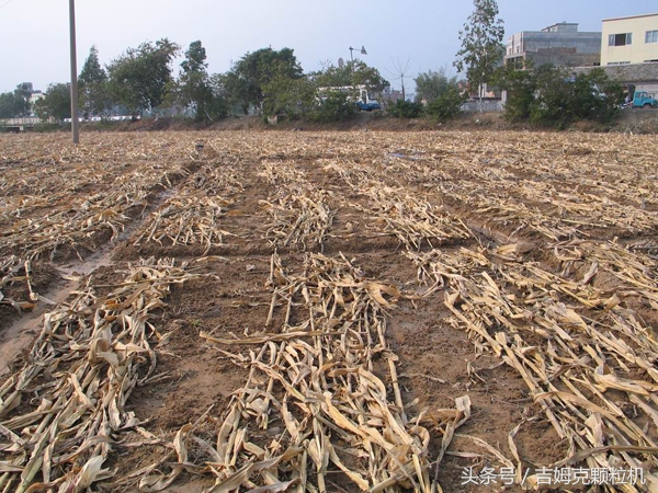养殖户用饲料颗粒机自制饲料颗粒,自己做饲料颗粒都用什么机器设备