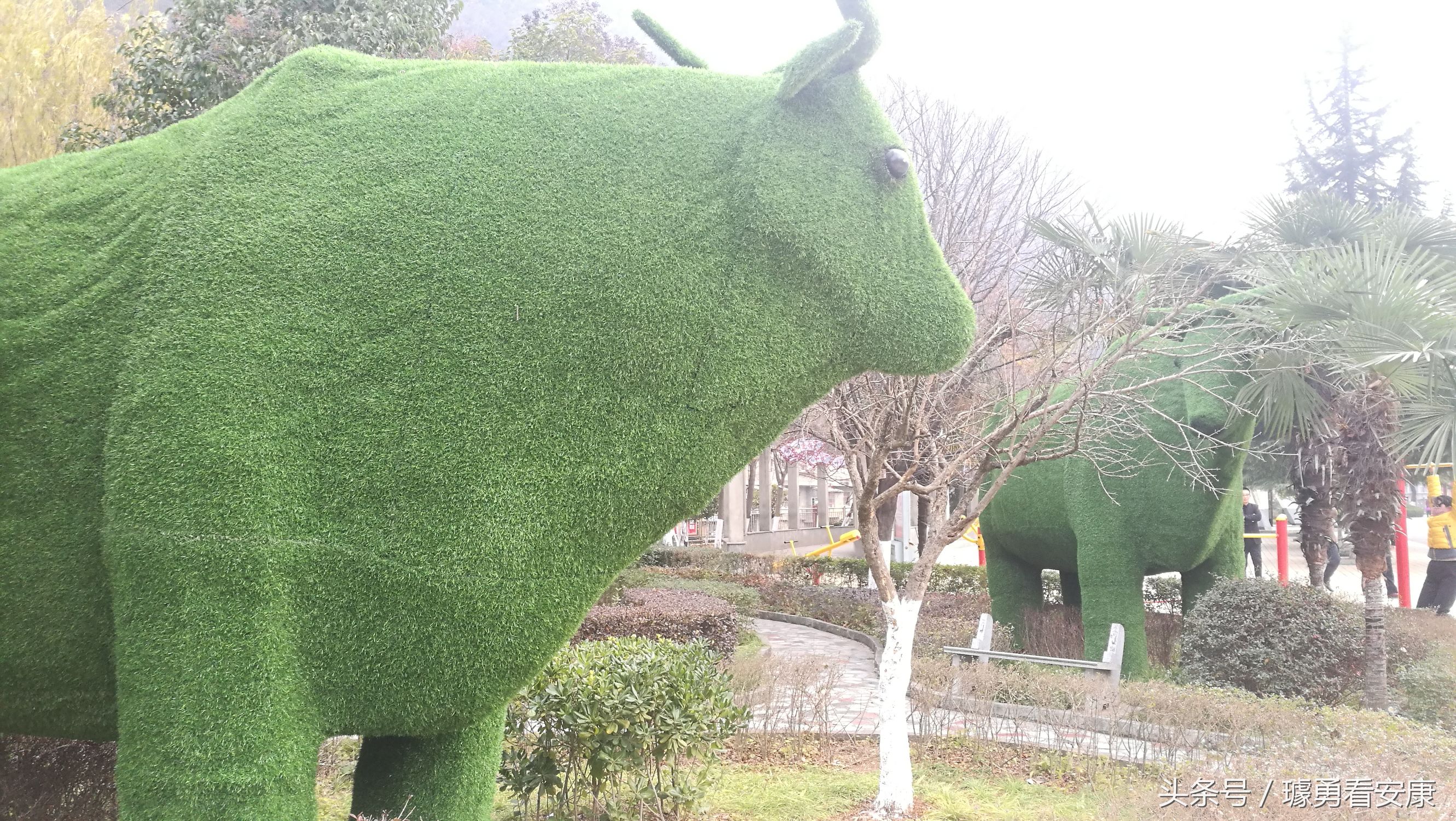 这里是中国慢城,一个让人能够宁静的城市这里环境美人情更美