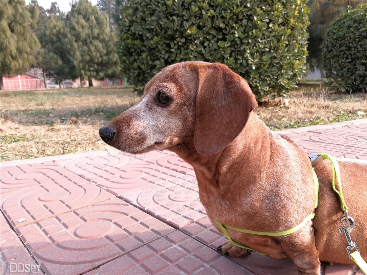 华为mate9pro评测,华为mate9pro性能详解