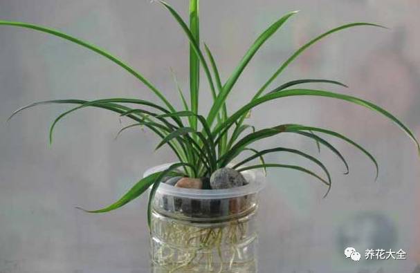 事业位置摆什么好招财,办公桌上摆什么招财助事业