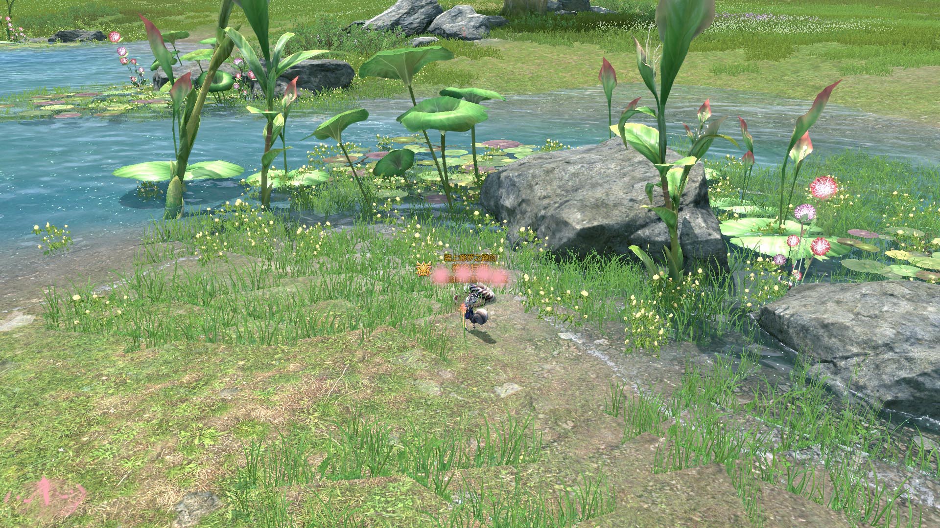 剑灵大鱼坊在哪个位置,剑灵副职业普通材料在哪