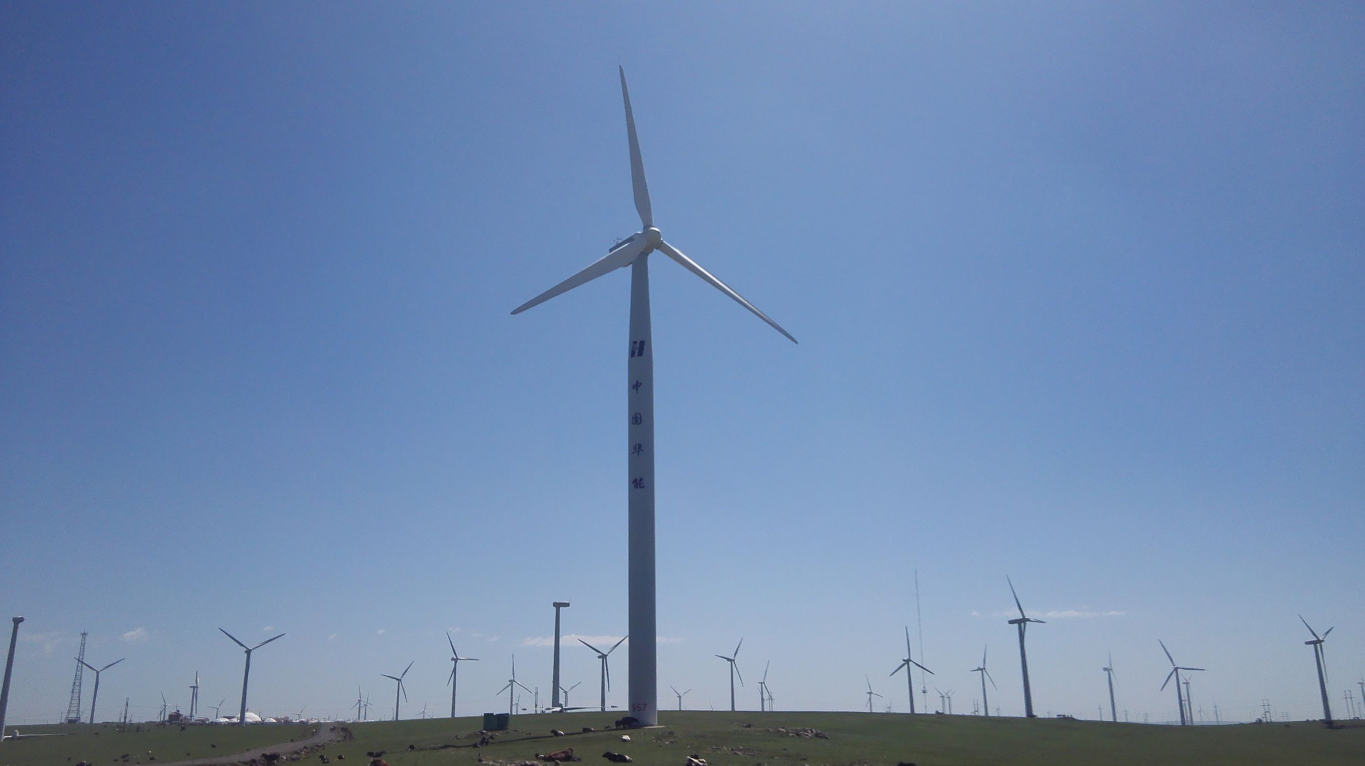 辉腾锡勒草原拍照姿势,辉腾锡勒大草原照片