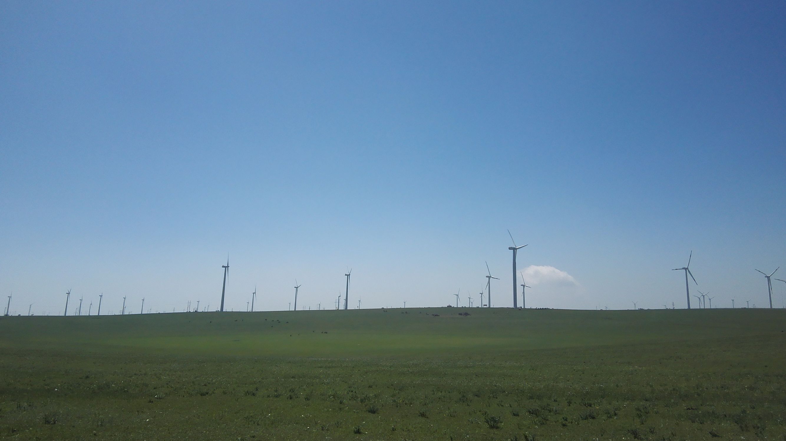 辉腾锡勒草原拍照姿势,辉腾锡勒大草原照片