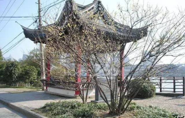 无锡老北塘区,无锡老北塘老街