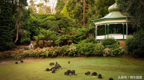 澳洲塔斯马尼亚值得去吗,去塔斯马尼亚旅游感受