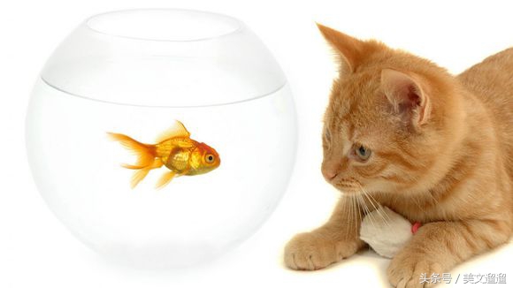 幽默个性签名说说大全,洒脱幽默个性签名推荐