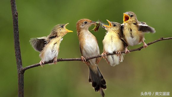 幽默个性签名说说大全,洒脱幽默个性签名推荐