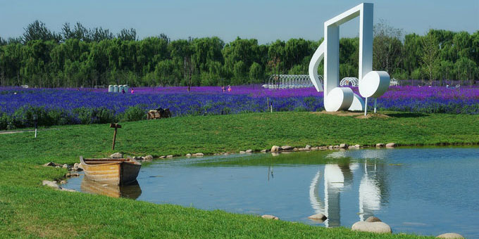 离这里最近的薰衣草庄园,中国最浪漫的地方薰衣草