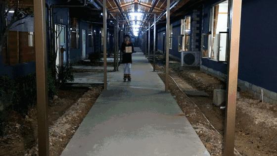 陪伴均安人十几年酒楼全面升级，全新创意茶点，大良都要过去饮茶