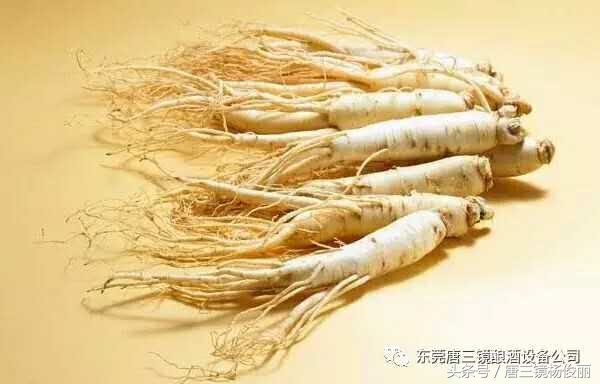 人参酒的种类及功效,滋补养生鲜人参酒