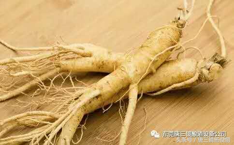 人参酒的种类及功效,滋补养生鲜人参酒