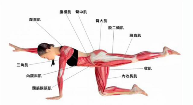 下腰疼痛一招解决,练习下腰后怎样防止腰痛