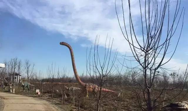 12月23号开幕啦！冰雪奇缘圣诞狂欢！中西合璧庙会美食啥都有