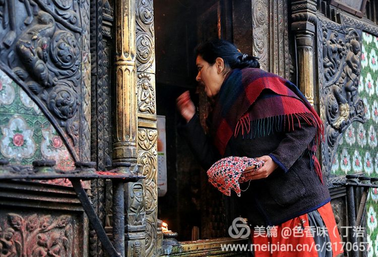 探秘尼泊尔牧羊人,探秘尼泊尔国家森林公园