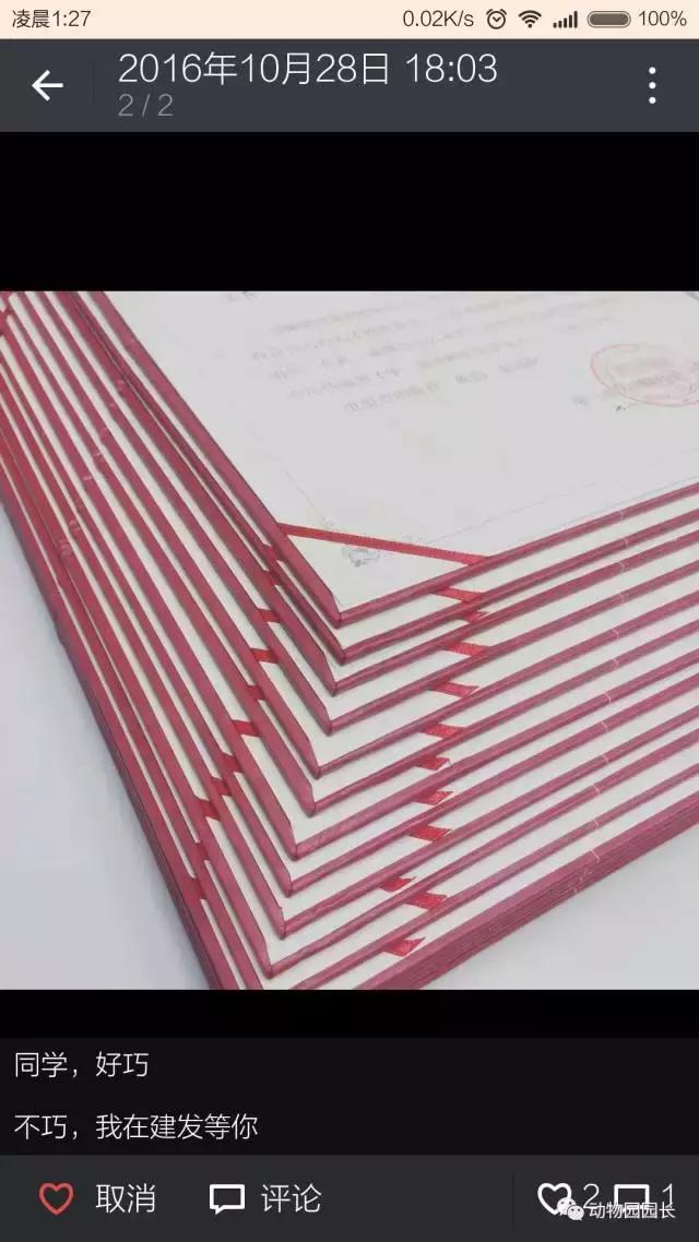 找工作大四,大四学渣如何找工作