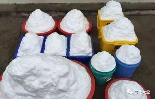 雪水、食盐、白糖、维生素,能让花枝繁叶茂,你信不信?