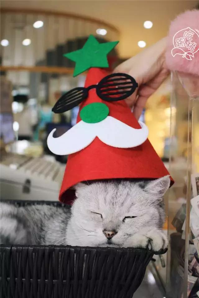 圣诞搞事啊!这杯咖啡竟好喝得我连杯子都吃掉了!