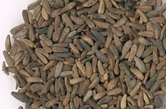 糖尿病人吃牛鞭汤有什么好处,日本人吃什么中药可以治便秘