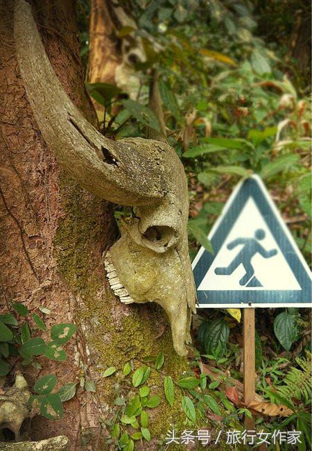 西双版纳避寒城市,冬日西双版纳市区